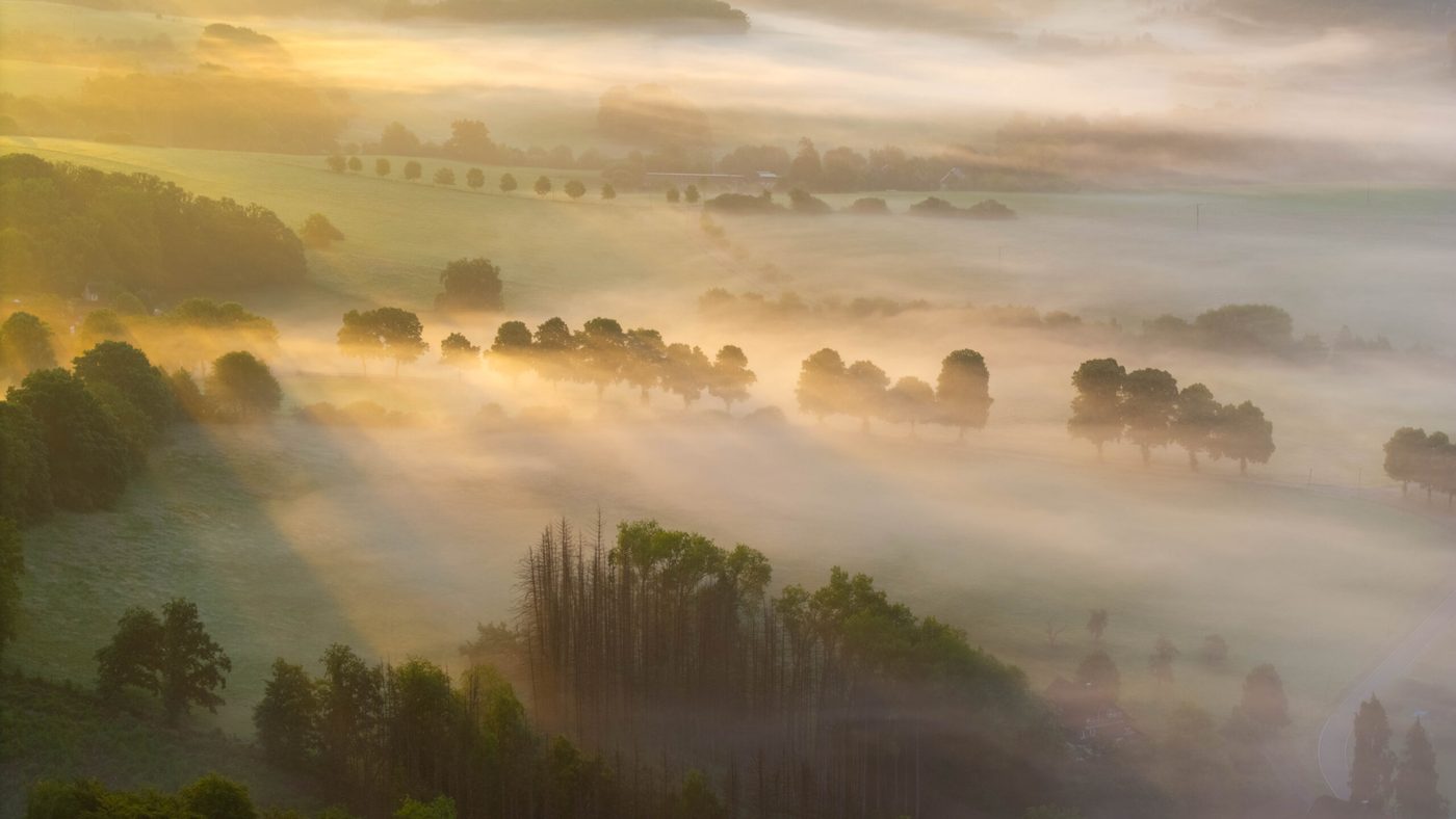 Nebelstimmung über dem Bergischen Land bei Sonnenaufgang